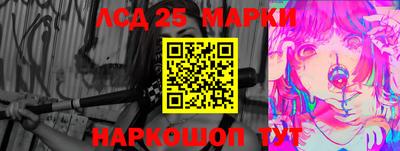 гашик Берёзовский