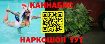 гашик Берёзовский