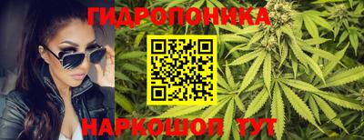 гашик Берёзовский