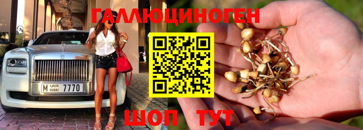Псилоцибиновые грибы Cubensis Кирово-Чепецк